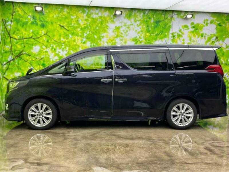 ALPHARD-1