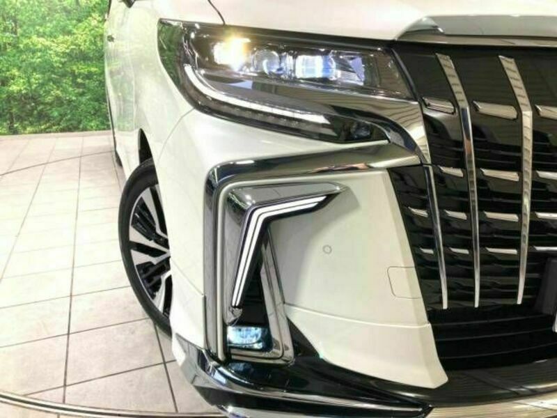 ALPHARD-12