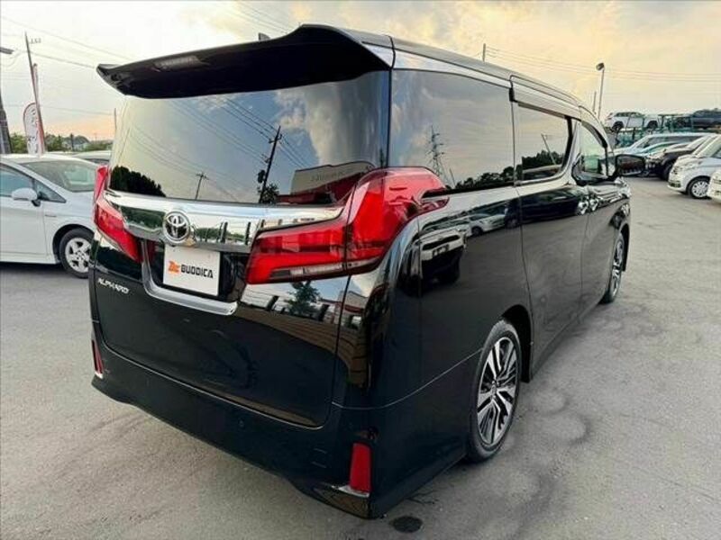 ALPHARD-14