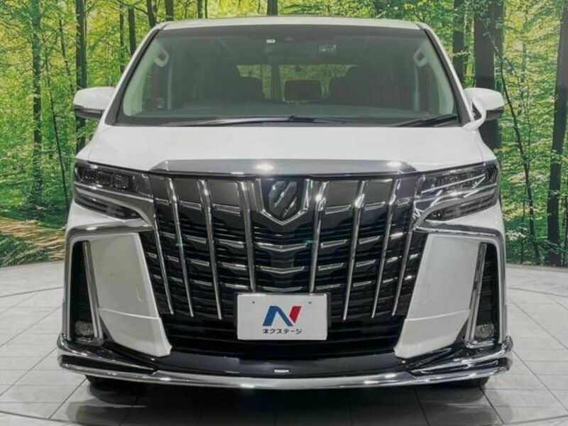 ALPHARD-14