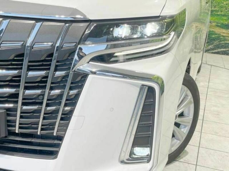 ALPHARD-13