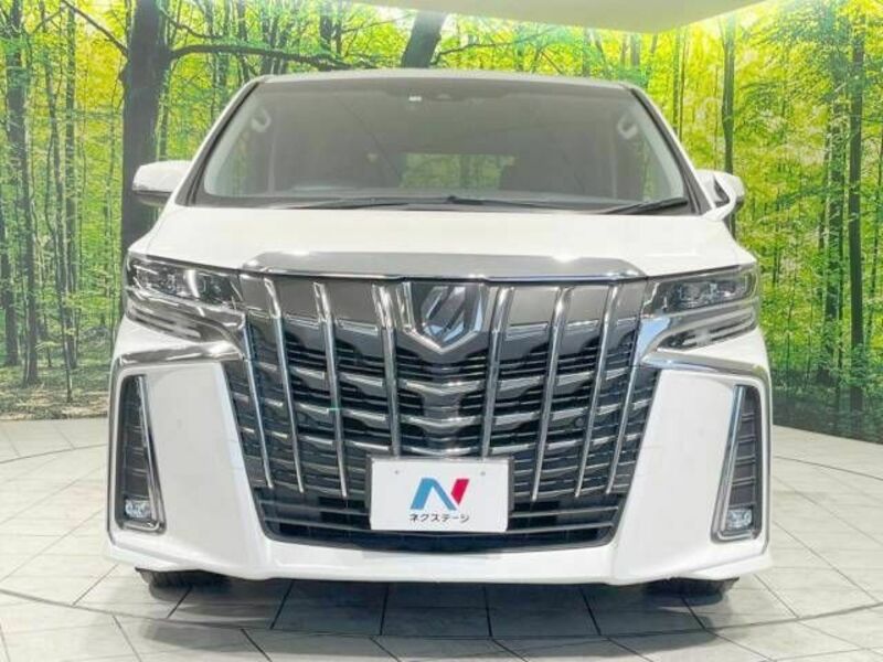 ALPHARD-15