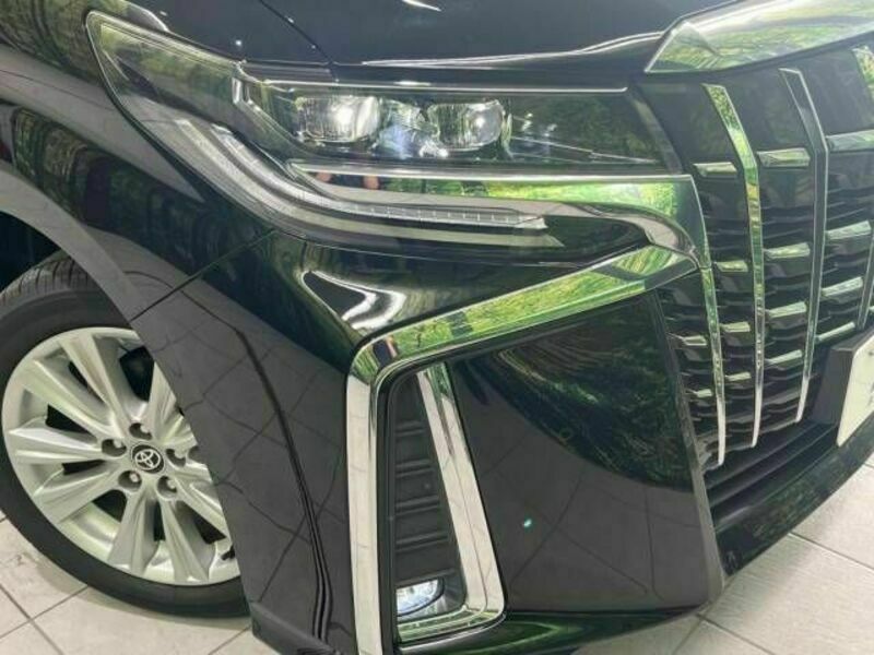 ALPHARD-13