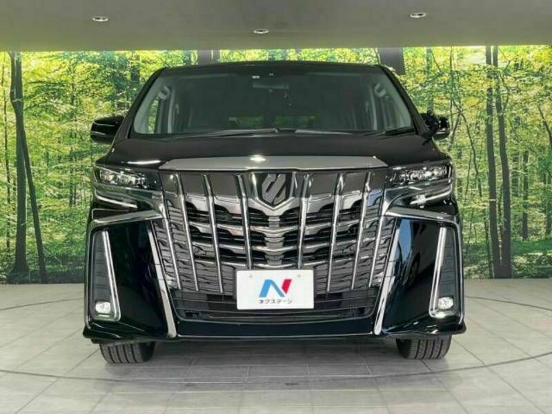 ALPHARD-15