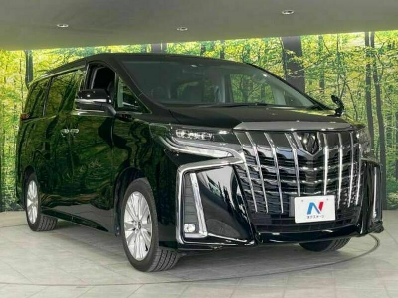 ALPHARD-17