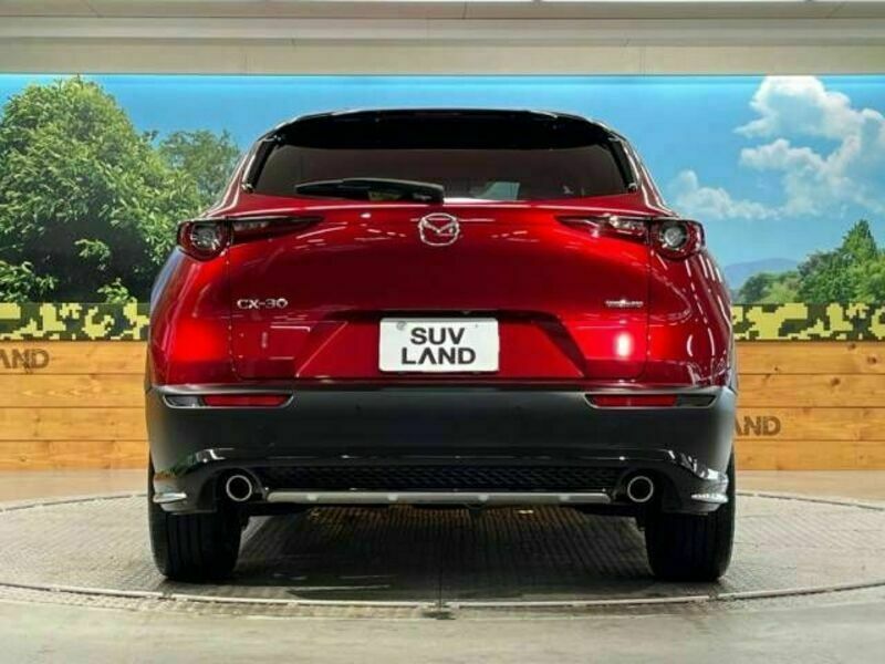 CX-30-15