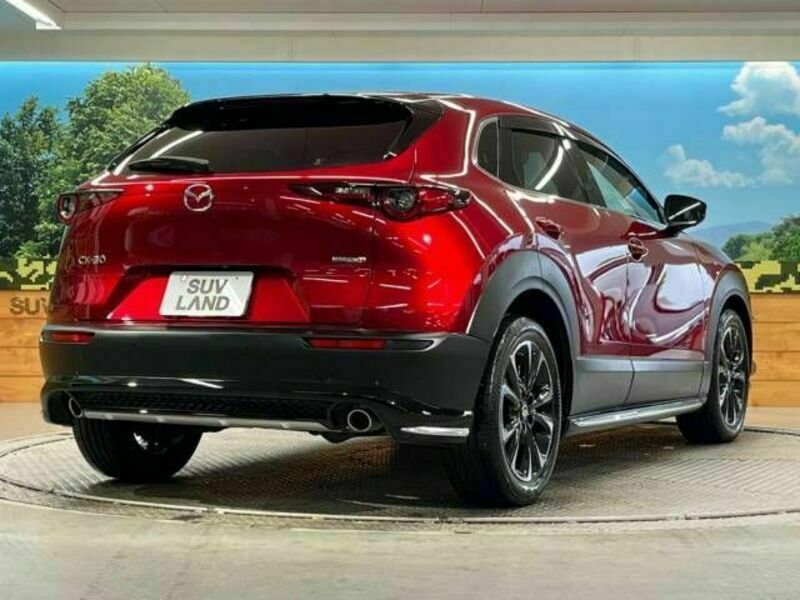 CX-30-17