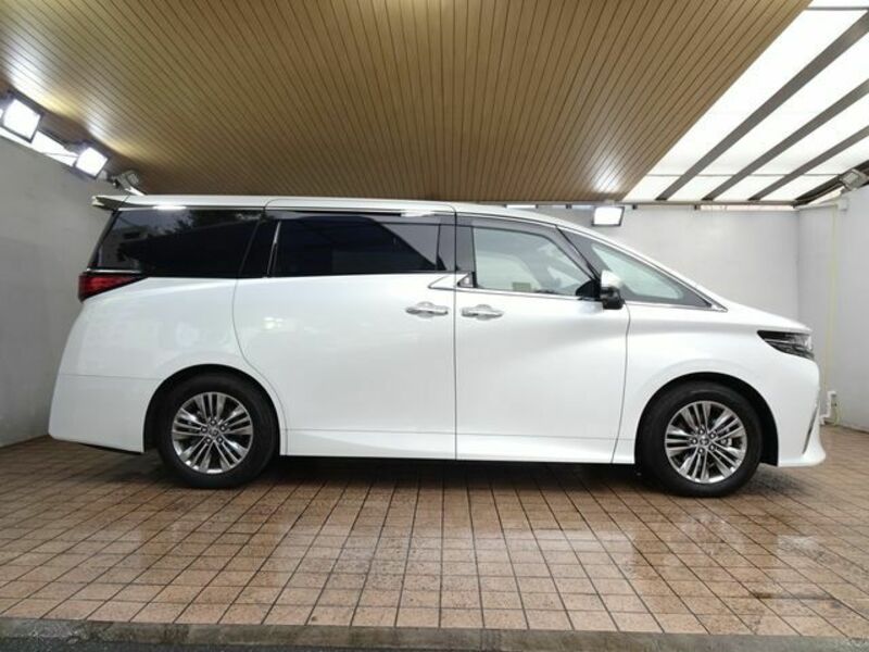 ALPHARD-6