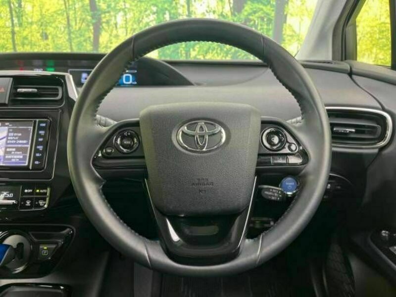 PRIUS-19