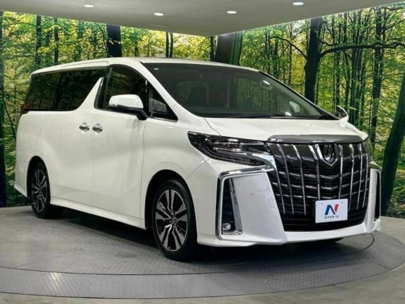 ALPHARD-17