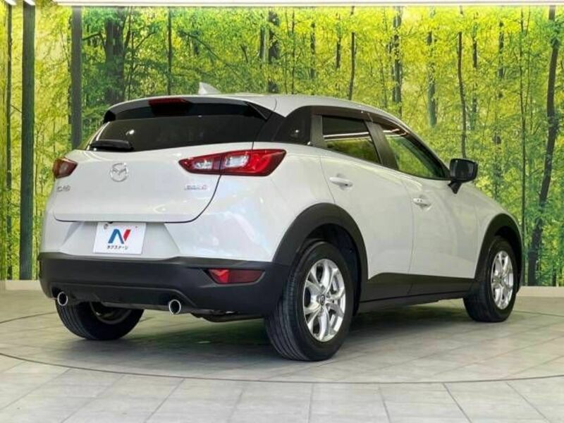 CX-3-18