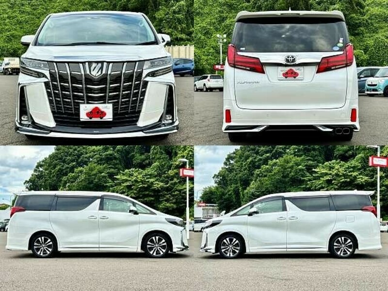 ALPHARD-3