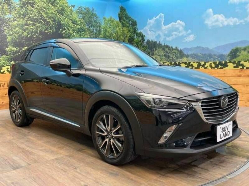 CX-3-16