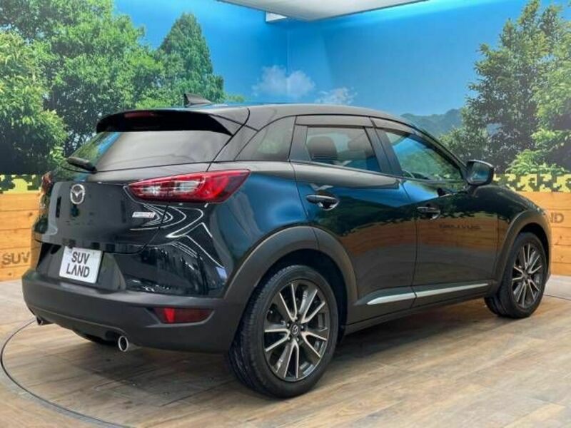 CX-3-17