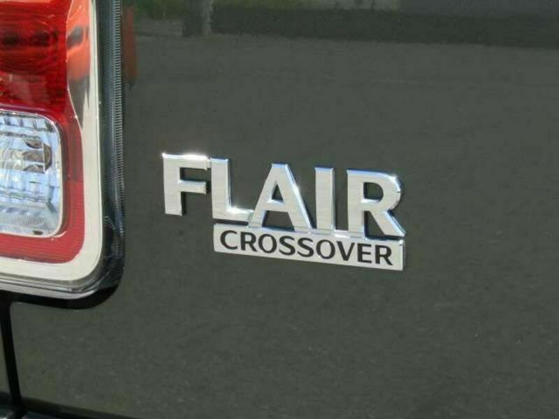 FLAIR CROSSOVER-10