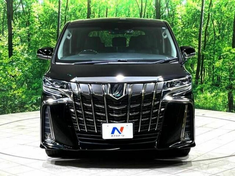 ALPHARD-15