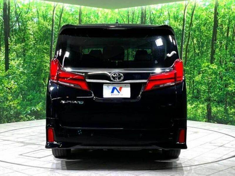 ALPHARD-16