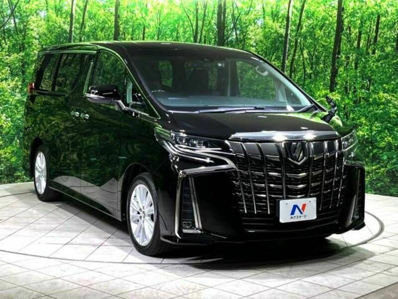 ALPHARD-17