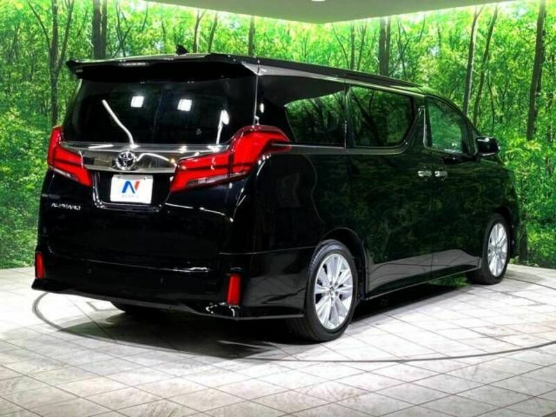 ALPHARD-18