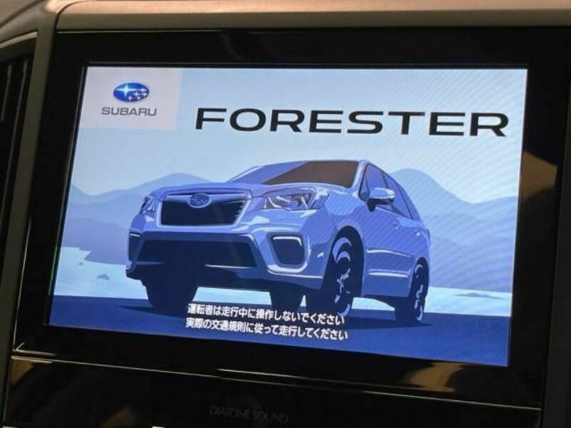 FORESTER-3