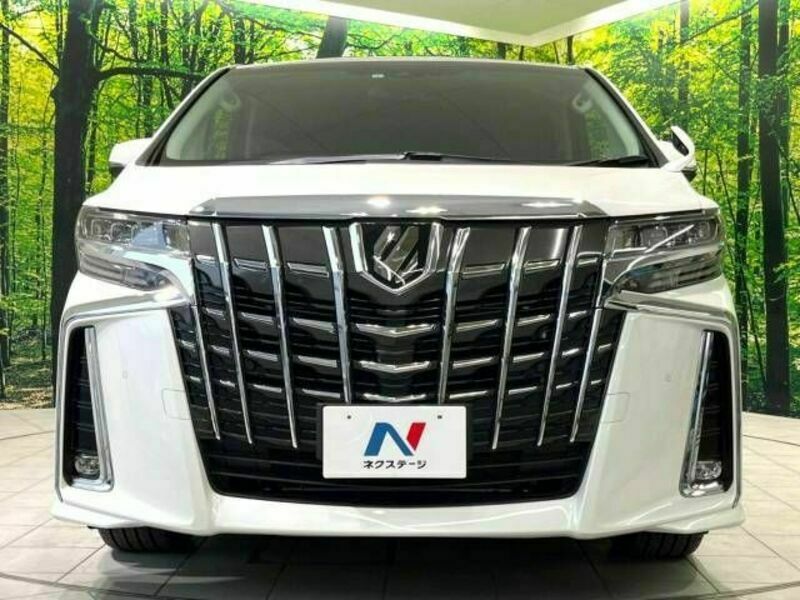 ALPHARD-14