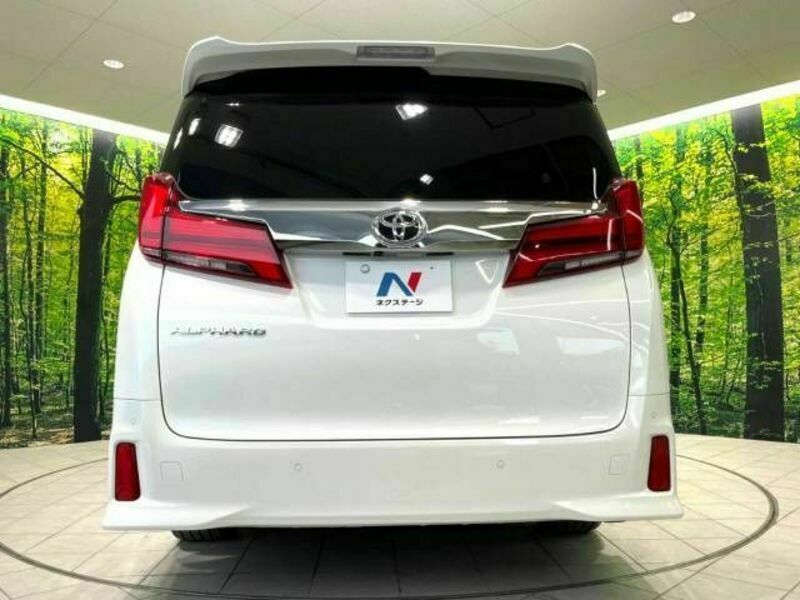 ALPHARD-15