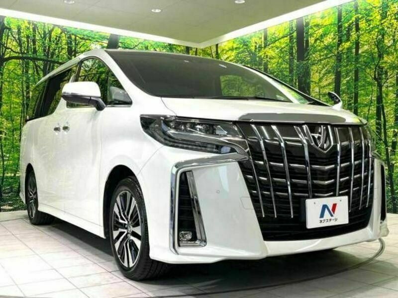 ALPHARD-16