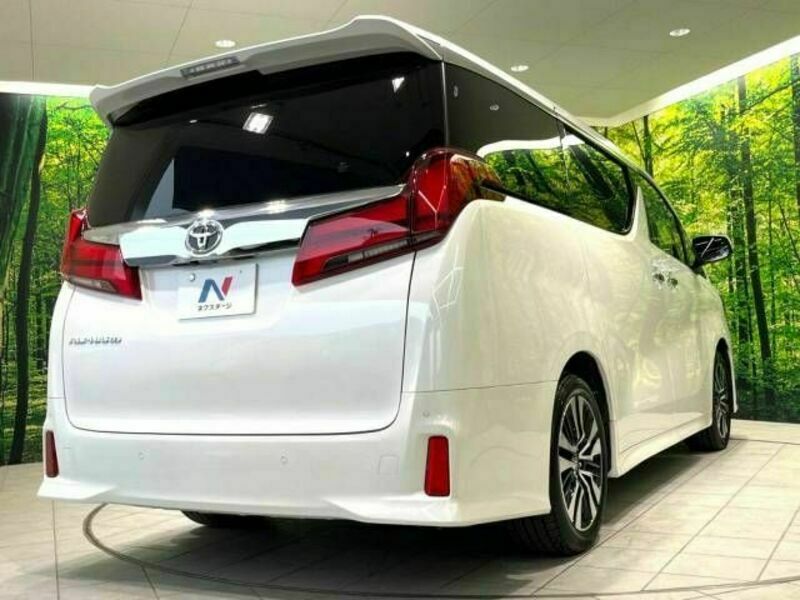 ALPHARD-17