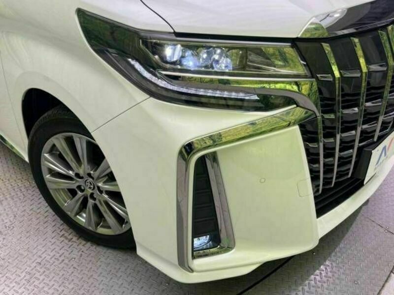 ALPHARD-13