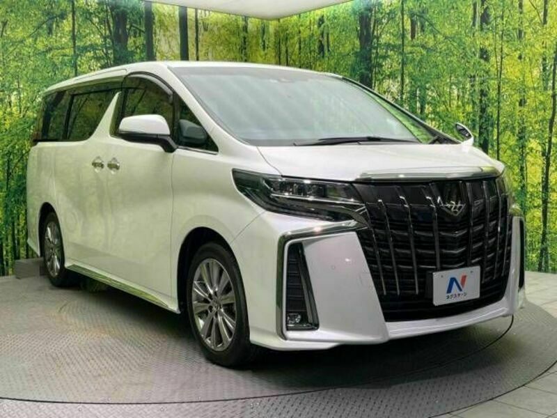 ALPHARD-17