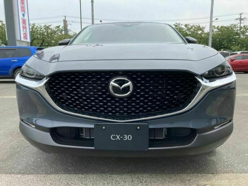 CX-30-1