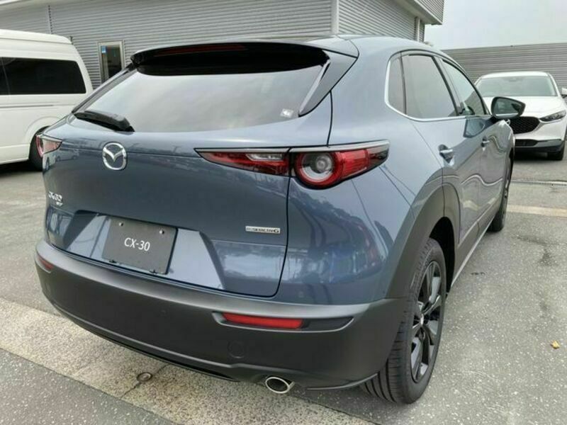 CX-30-2