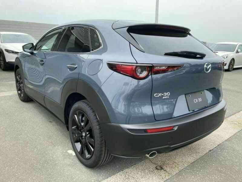 CX-30-6