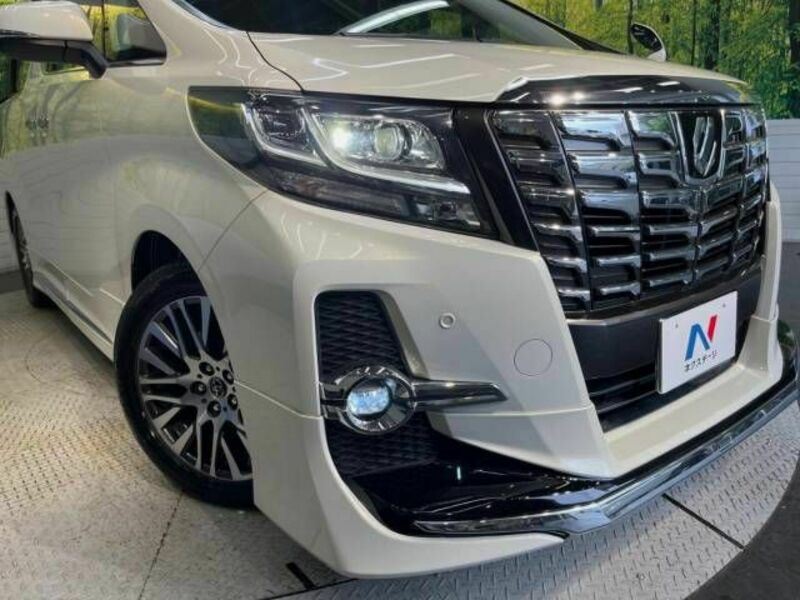 ALPHARD-13