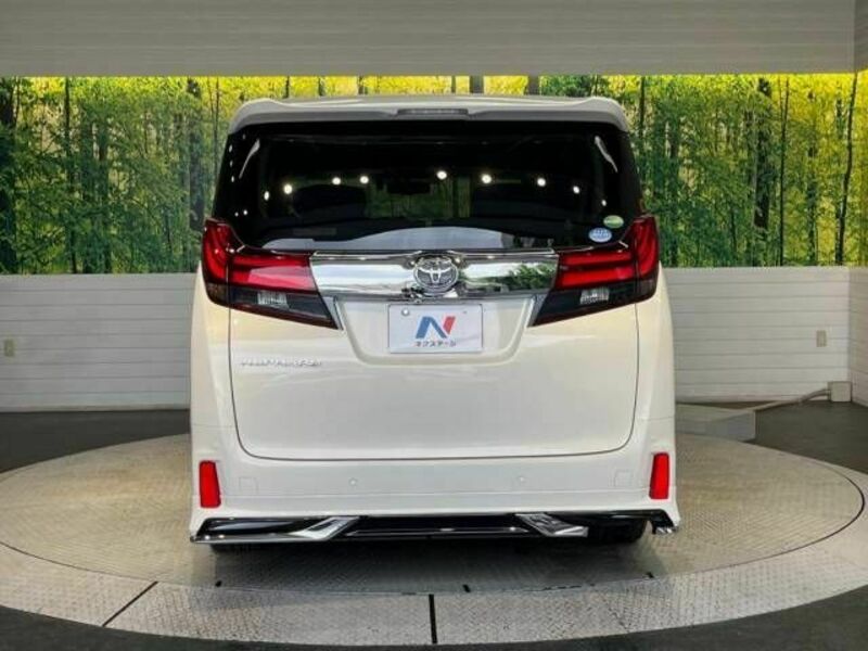 ALPHARD-16