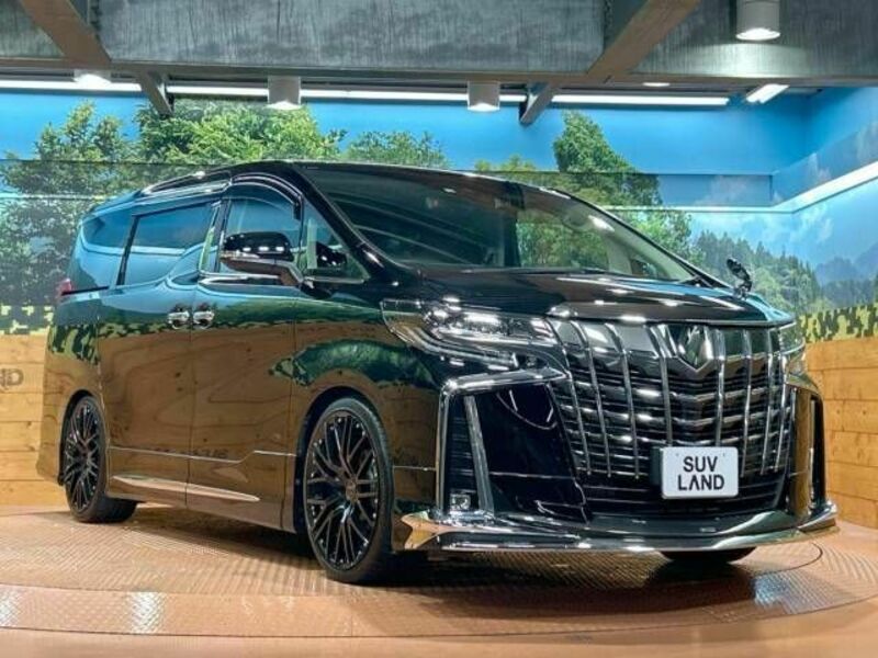 ALPHARD-17