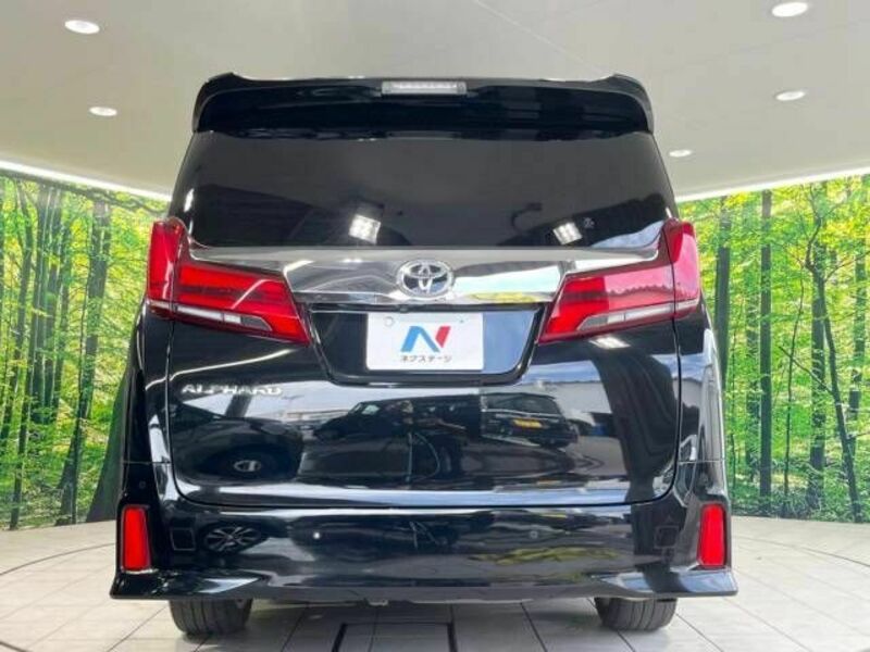 ALPHARD-16