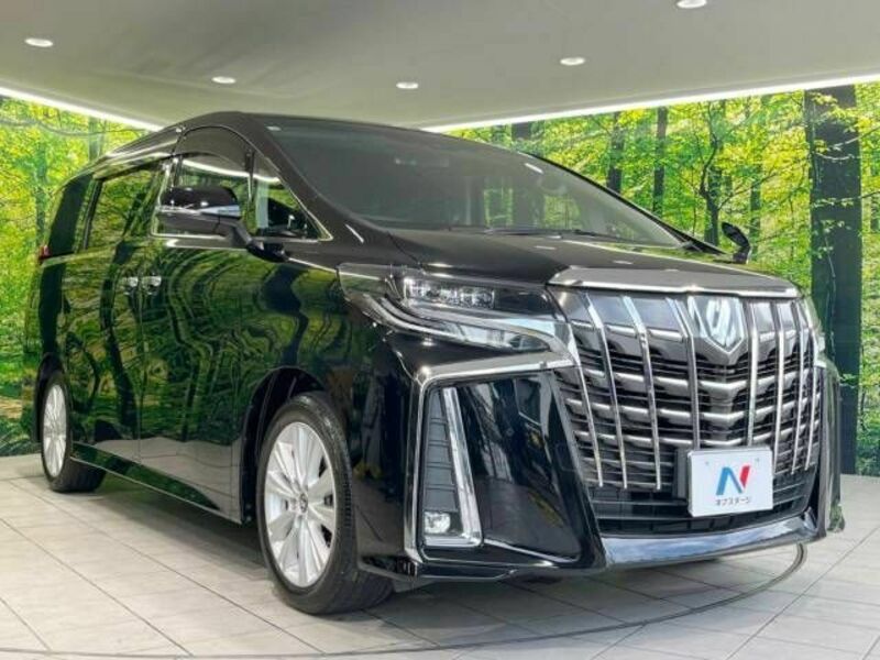 ALPHARD-17