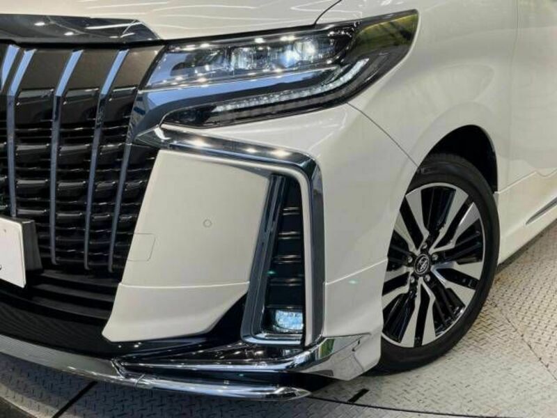 ALPHARD-13