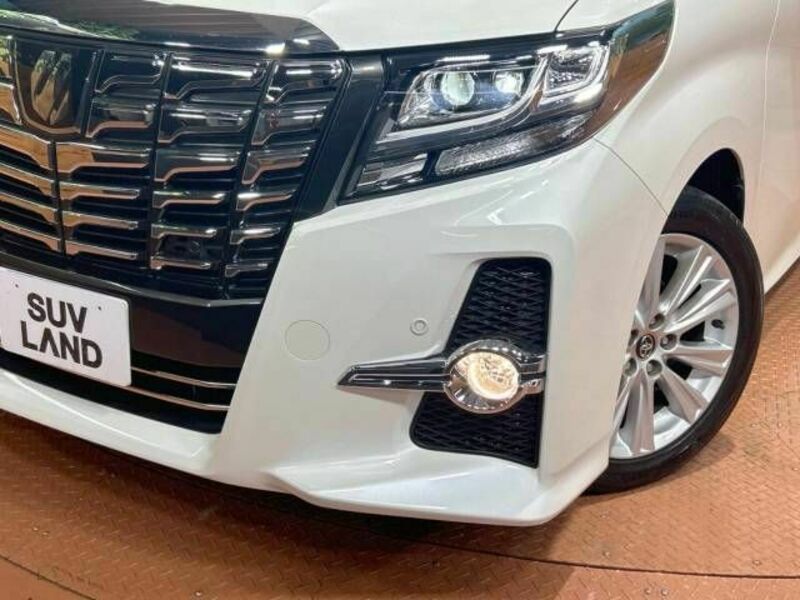 ALPHARD-12