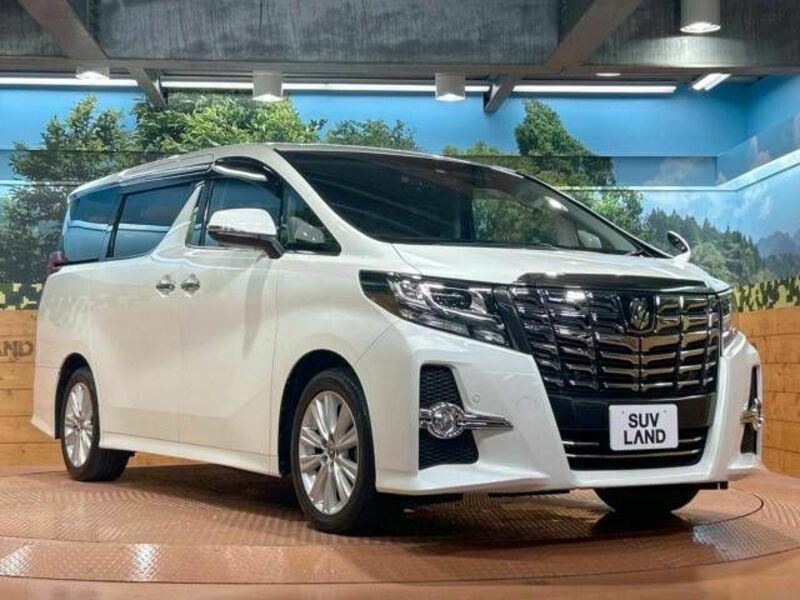 ALPHARD-16