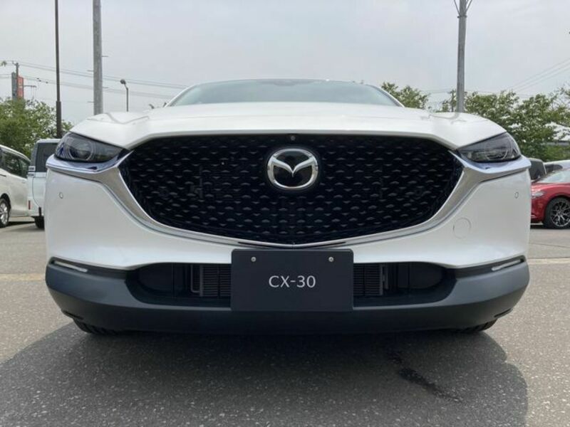 CX-30-3