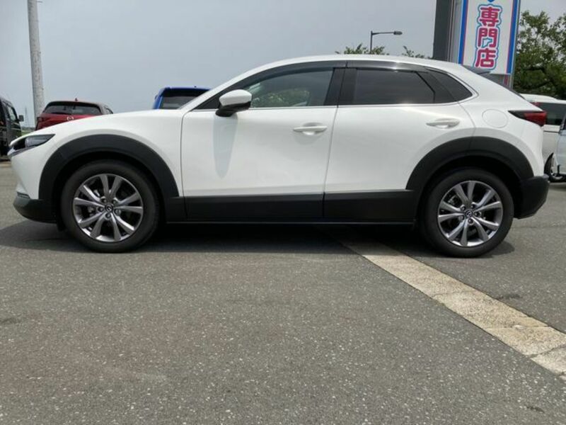 CX-30-7