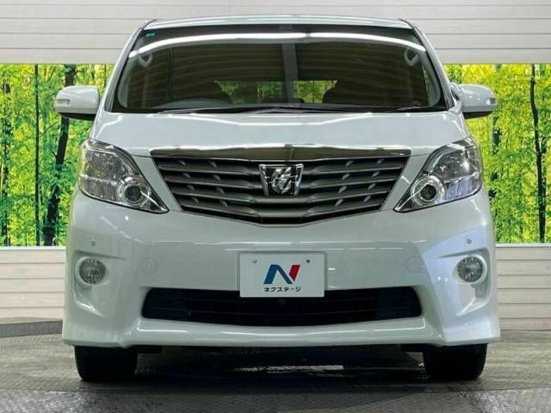 ALPHARD-14