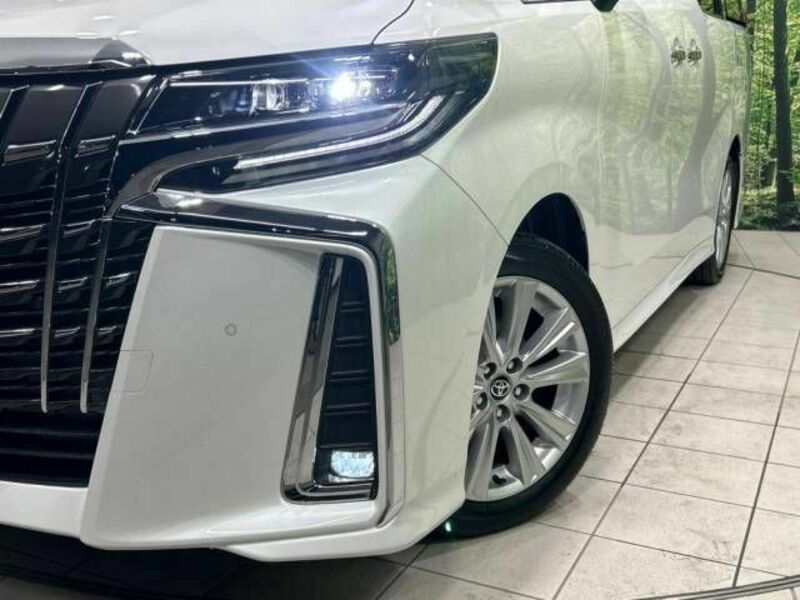 ALPHARD-13