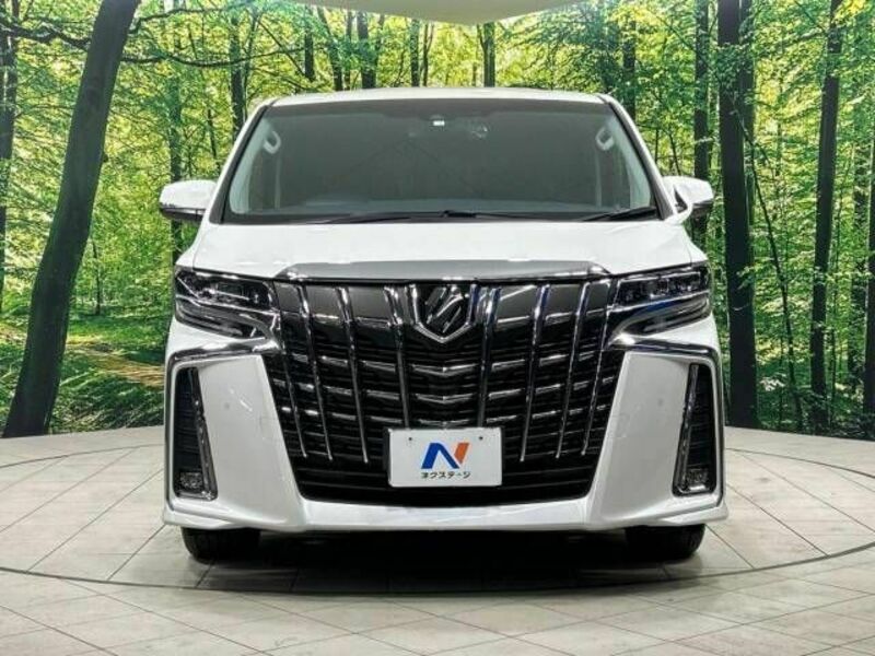 ALPHARD-15