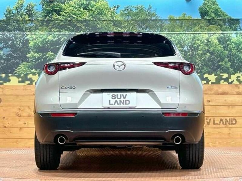 CX-30-15