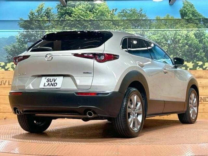 CX-30-17