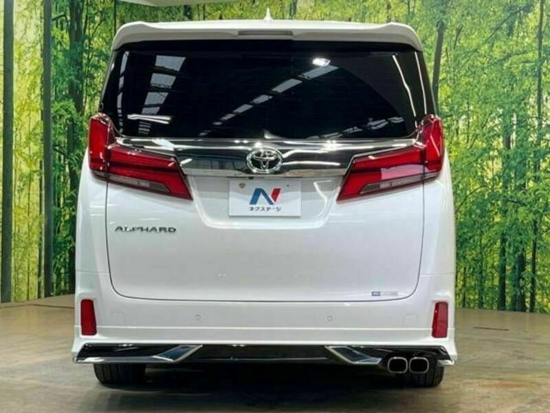 ALPHARD-17