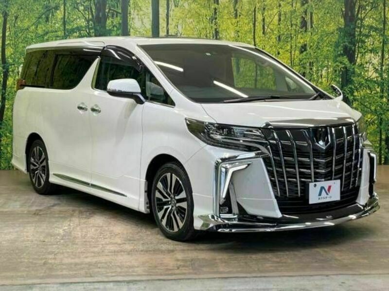 ALPHARD-18